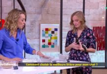 Comment choisir la meilleure litière pour son chat ? Comment-choisir-la-meilleure-litiere-pour-son-chat-