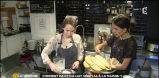 Comment faire du lait végétal à la maison ? Comment-faire-du-lait-vegetal-a-la-maison-