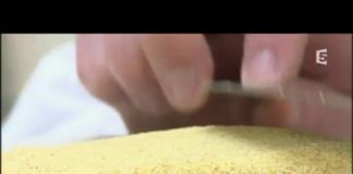 La semoule : comment est-elle fabriquée ? Comment-la-semoule-est-elle-fabriquee-La-Quotidienne