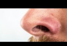 Comment se débarrasser des poils de nez disgracieux ? Comment-se-debarrasser-des-poils-de-nez-disgracieux-