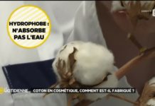 Comment est fabriqué le coton en cosmétique ? Coton-en-cosmetique-comment-est-il-fabrique