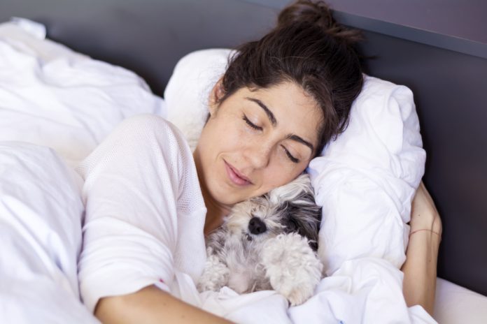 Dormir-avec-un-animal-de-compagnie-est-une-tres-mauvaise-idee-selon-la-science-voici-pourquoi