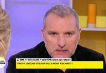 Comment se débarrasser des nuisibles ? Dossier-du-Jour-Rats-blattes-mites-punaises-comment-se-debarrasser-des-nuisibles-