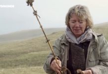 Le Cézallier gourmand Epicerie-fine-Le-Cezallier