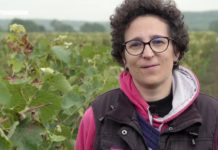 Le Chinonais gourmand Epicerie-fine-Le-Chinonais