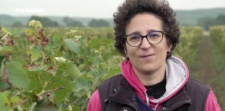 Le Chinonais gourmand Epicerie-fine-Le-Chinonais