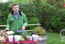 Comment aider les oiseaux à mieux supporter l’hiver ? Faune-Aider-les-oiseaux-a-mieux-supporter-lhiver