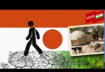 L’histoire du drapeau du Niger Lhistoire-du-drapeau-du-Niger-Les-drapeaux-du-monde-Histoire-Geographie