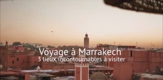 3 lieux à visiter à Marrakech Marrakech-3-lieux-a-visiter-jardin-Majorelle-palais-de-la-Bahia-place-Jemaa-El-Fna