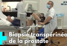 Une biopsie moins risquée pour la prostate Prostate-une-biopsie-moins-risquee-