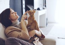 Ronronnement des chats : que veut-il dire ? Que-veut-dire-le-ronronnement-des-chats-