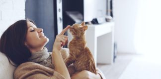 Ronronnement des chats : que veut-il dire ? Que-veut-dire-le-ronronnement-des-chats-