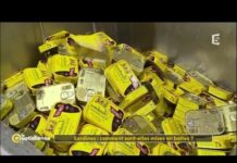 Comment les sardines sont-elles mises en boîtes ? Sardines-comment-sont-elles-mises-en-boites-La-Quotidienne