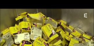 Comment les sardines sont-elles mises en boîtes ? Sardines-comment-sont-elles-mises-en-boites-La-Quotidienne