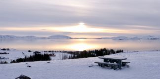 Islande : étendues glacées et géothermie dans l’agriculture Voyages-Vert-Vous-Islande-etendues-glacees-et-geothermie-dans-lagriculture