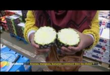 Comment bien choisir ses ananas, mangues et bananes ? Ananas-mangues-bananes-comment-bien-les-choisir-La-Quotidienne