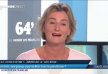 Une plante pour en finir avec le paludisme : l’artemisia Artemisia-une-plante-pour-en-finir-avec-le-paludisme