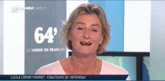 Une plante pour en finir avec le paludisme : l’artemisia Artemisia-une-plante-pour-en-finir-avec-le-paludisme