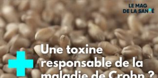 Le déoxynivalénol, une toxine dangereuse pour notre santé présente dans les céréales ? Cereales-une-toxine-dangereuse-pour-notre-sante-L