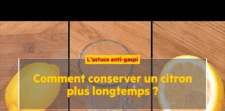 Comment conserver un citron plus longtemps ? Comment-conserver-un-citron-plus-longtemps-La-Quotidienne-la-suite