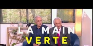 Comment créer un potager dans son jardin ? Comment-creer-un-potager-dans-son-jardin-La-Quotidienne