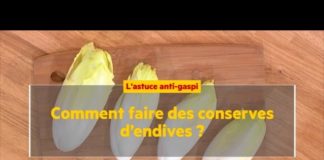 Comment faire des conserves d’endives ? Comment-faire-des-conserves-dendives-La-Quotidienne-la-suite
