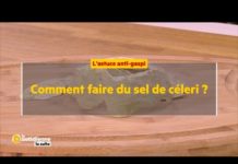 Comment faire du sel de céleri ? Comment-faire-du-sel-de-celeri-La-Quotidienne-la-suite