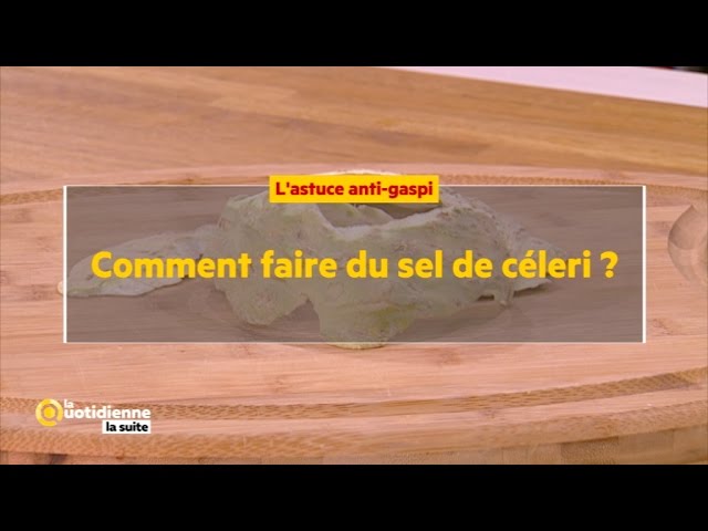 Comment faire du sel de céleri