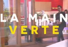 Comment profiter des orchidées le plus longtemps possible ? Comment-profiter-des-orchidees-le-plus-longtemps-possible-La-Quotidienne