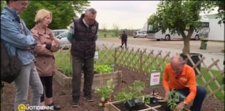 Comment réaliser soi-même son potager ? Comment-realiser-soi-meme-son-potager-