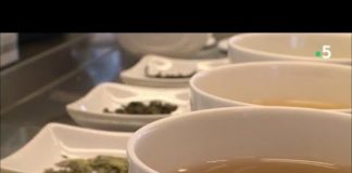 Sachets de thé : comment sont-ils élaborés ? Comment-sont-elabores-les-sachets-de-the-