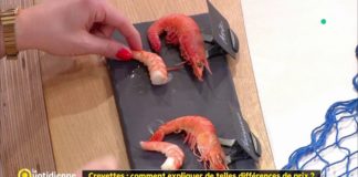 Comment expliquer les différences de prix des crevettes ? Crevettes-comment-expliquer-de-telles-differences-de-prix-