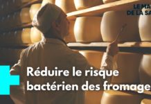 Quels contrôles dans la production de fromage au lait cru ? Fromage-au-lait-cru-quels-controles-dans-la-production-