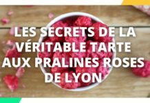La tarte aux pralines roses de Lyon La-tarte-aux-pralines-roses-de-Lyon-Samedi-a-tout-prix