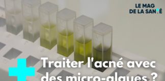 Micro-algues : des pouvoirs extraordinaires Les-pouvoirs-extraordinaires-des-micro-algues-