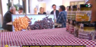 Comment bien choisir sa moutarde ? Nature-aromatisee-a-lancienne-comment-bien-choisir-sa-moutarde-