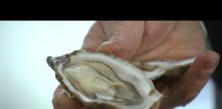 Comment les huîtres sont-elles contrôlées ? Risque-sanitaire-comment-les-huitres-sont-elles-controlees-L