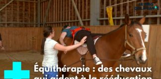 La rééducation grâce aux chevaux Se-reeduquer-au-contact-des-chevaux-