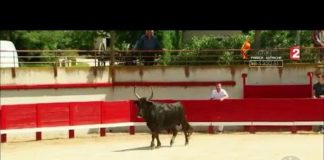 La course camarguaise Sport-Course-camarguaise