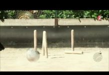 Les quilles de l’Aveyron Sport-Les-quilles-de-lAveyron