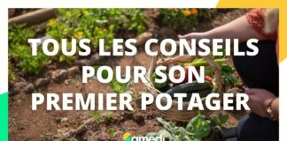 Premier potager : tous les conseils Tous-les-conseils-pour-son-premier-potager-Samedi-a-tout-prix