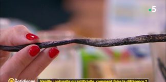 Vanille naturelle ou artificielle, comment faire la différence ? Vanille-naturelle-ou-artificielle-comment-faire-la-difference-La-Quotidienne