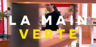 Le mimosa pour ensoleiller l’hiver Le-mimosa-ensoleille-notre-hiver-La-Quotidienne