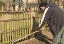 Les secrets d’une pelouse réussie Les-secrets-dune-pelouse-reussie