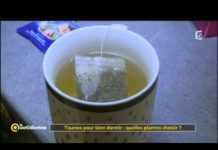 Tisane pour bien dormir : quelle plante choisir ? Tisane-pour-bien-dormir-quelle-plante-choisir-La-Quotidienne