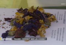 Comment bien choisir ses tisanes ? Tisanes-comment-bien-les-choisir-