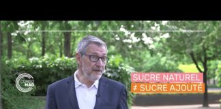 Attention aux sucres cachés ! Alimentation-attention-aux-sucres-caches-
