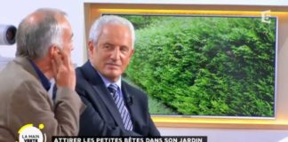 Comment attirer les petites bêtes dans son jardin ? Attirer-les-petites-betes-dans-son-jardin