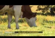 De la viande, oui mais autrement ! De-la-viande-oui-Mais-autrement-