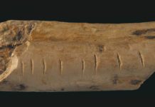 Compter : depuis quand savons nous le faire ? Depuis-quand-savons-nous-compter-